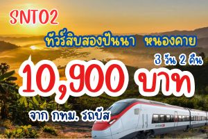 ทัวร์สิบสองปันนา ไทลื้อ รถไฟความเร็วสูง 10,900 บาท 