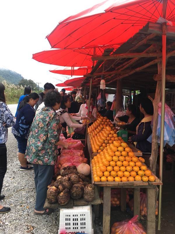 บรรยากาศระหว่างทางไปหลวงพระบาง